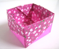 Origami Bristol box by Daniel G. Mason on giladorigami.com