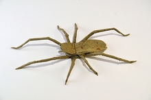 Origami Spider by Miyashita Yasushi on giladorigami.com