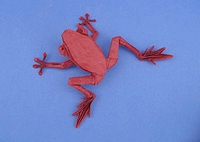 Origami Poison dart frog HP by Robert J. Lang on giladorigami.com