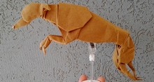 Origami Greyhound 1.3 by Ryan Welsh on giladorigami.com