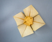 Origami Bicolored flower by Lionel Albertino on giladorigami.com