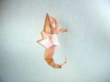 Origami Seahorse by Xin Can (Ryan) Dong on giladorigami.com