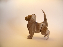 Origami Nosy cat by Oriol Esteve on giladorigami.com