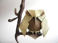 Origami Owl by Juan Gimeno on giladorigami.com