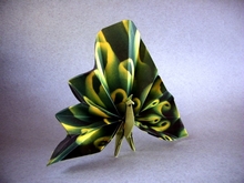 Origami Peacock by Mathieu Gueros on giladorigami.com