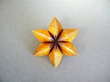 Origami Carambola by Ekaterina Lukasheva on giladorigami.com