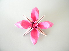 Origami Lily by Jose Meeusen (Krooshoop) on giladorigami.com