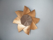 Origami Gazania by Meenakshi Mukerji on giladorigami.com