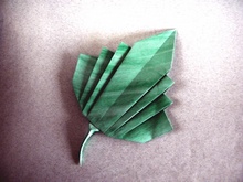 Origami Tropical leaf by Meenakshi Mukerji on giladorigami.com