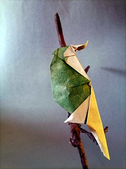 Origami Plump cockatoo by Marc Vigo Anglada on giladorigami.com