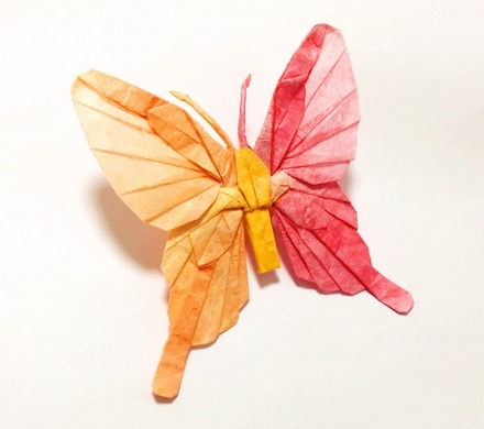 Origami Butterfly by Satoshi Kamiya on giladorigami.com