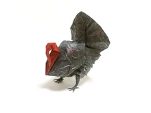 Origami Turkey by Kyouhei Katsuta on giladorigami.com