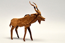 Origami Greater kudu by Shuki Kato on giladorigami.com