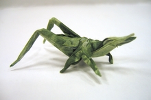 Origami Japanese giant Grasshopper by Fumiaki Kawahata on giladorigami.com