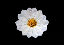 Origami Marguerite by Viviane Berty on giladorigami.com