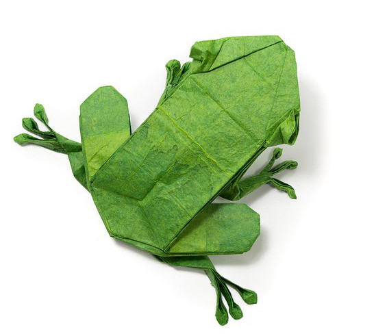 Origami Frog by Fuchimoto Muneji on giladorigami.com