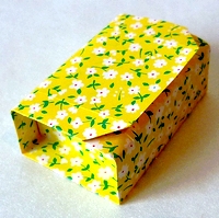 Origami Box in a box by Yamanashi Akiko on giladorigami.com